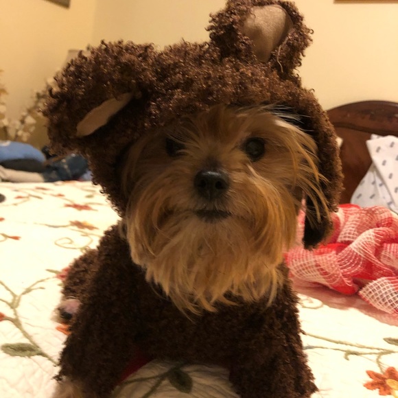 Meet your Posher, Dawn - Picture 3 of 13